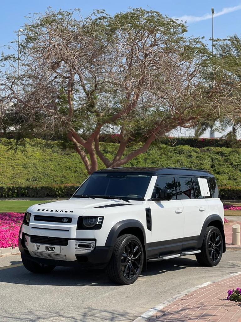Defender — 1